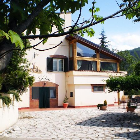 Agriturismo La Selva รีเอติ ภายนอก รูปภาพ